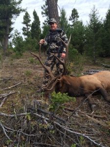 Elk Game Hunting Rental